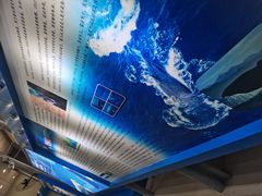 -上海海洋大学鱼文化博物馆(军工路校区)