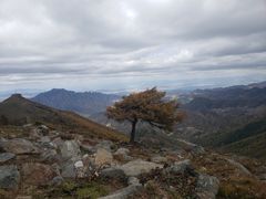 -灵山
