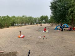 -东郊湿地公园