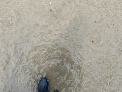 -上海游泳馆(地铁站)