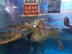 -烟台海昌鲸鲨海洋公园