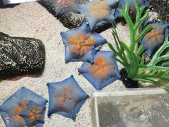 -沈阳海洋探索中心