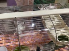 -FAELING PETS美天灵宠物(合生汇店)