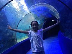 -左海海底世界