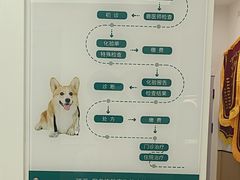 -瑞派康怡24h宠物医院·犬猫医疗中心·微创绝育(瑞景分院)