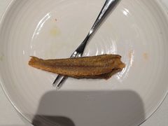 -祥记餐饮•豫粤珍味(金隅大厦店)