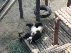 -大连森林动物园