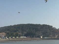 -烟墩角天鹅湖
