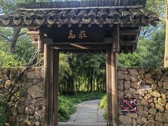 -西溪国家湿地公园