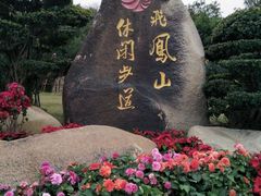 -飞凤山奥体公园
