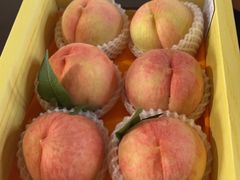 -南汇水蜜桃采摘(大团店)
