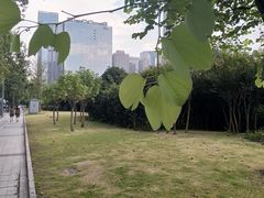 -四川广播电视台(世纪城路店)
