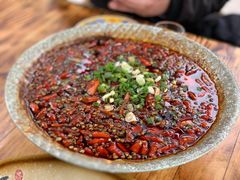 -青城甲(青城山店)