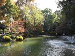 -杭州植物园