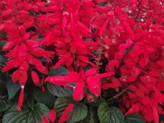 -欧亚购物中心(开发大街店)