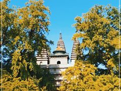 -北京石刻艺术博物馆(五塔寺)
