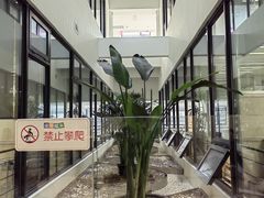 -上海市徐汇区口腔医院