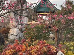 -无锡梅园公园