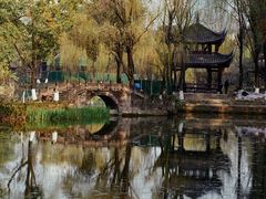 -桂湖森林公园
