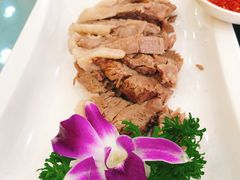 -老毛手抓·盐池滩羊非遗手抓(宁夏总店)