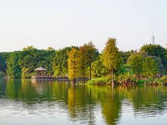 -广东花都湖国家湿地公园