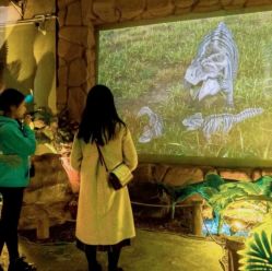 -恐龙探索乐园(磁器口店)