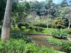 -火炉山森林公园