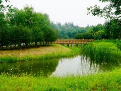 -东郊湿地公园