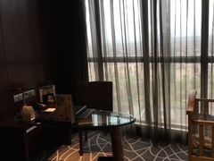 -常州环球恐龙城维景国际大酒店