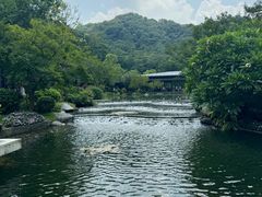 -云溪植物园