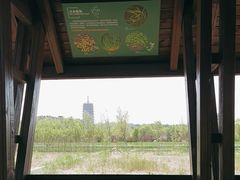 -永定河休闲森林公园