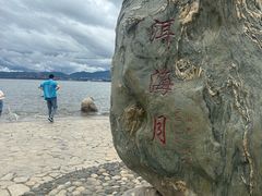 -洱海月湿地公园