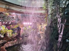 -正佳雨林生态植物园