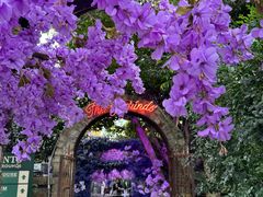 -The Grounds of Alexandria
