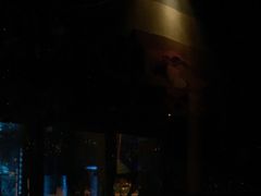 -TASTE ROOM Bar