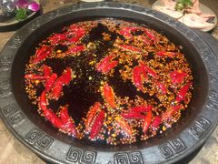 -重庆渝达老火锅(春熙路店)