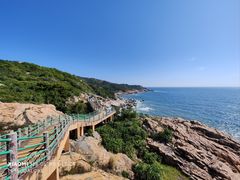 -广东惠东海龟国家级自然保护区