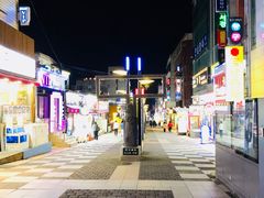 景点-宝健路步行街(Pedestrian Shopping Street)