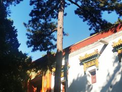 -香山公园