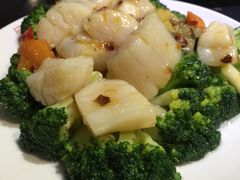 -糖朝(尖沙咀店)