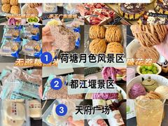 -成都动物园
