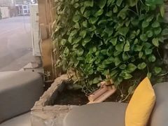 -德全心悦酒店(北京金台路地铁站店)