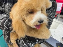 -FAELING PETS美天灵宠物(合生汇店)