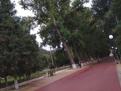 -二一九公园