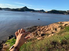 -花竹村