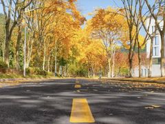 -浙江农林大学(东湖校区)