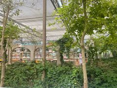 -南宫五洲植物乐园