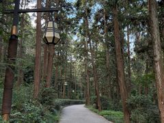 -冶父山国家森林公园