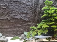 -耳妃躺式采耳SPA馆