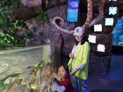 -多彩贵州城极地海洋世界